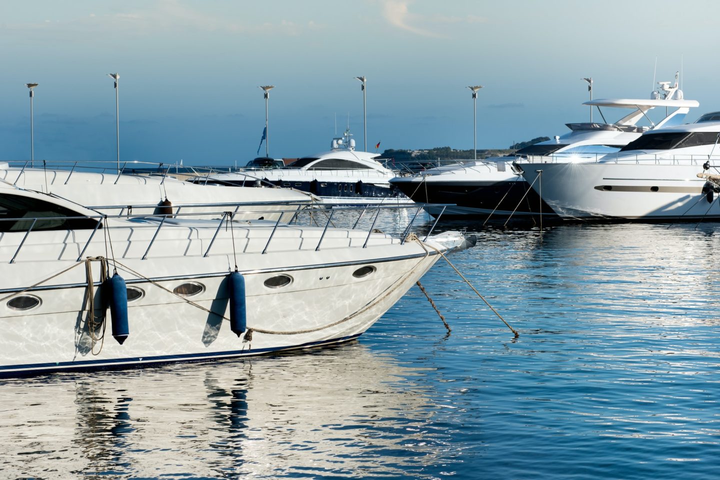 Luxury motorboats or yachts moored in a marina